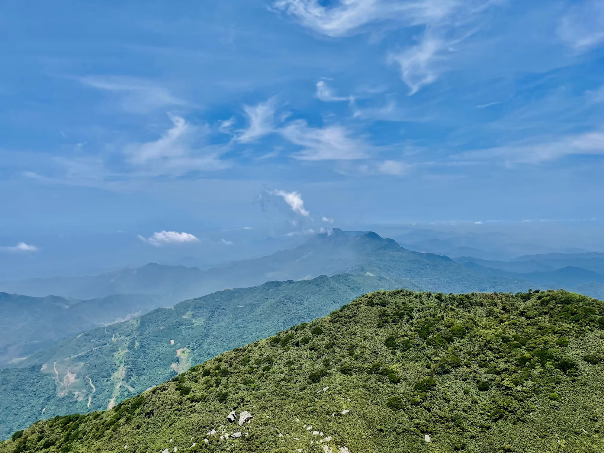 Exploring the Diverse World of Hiking: Trails for Every Adventurer